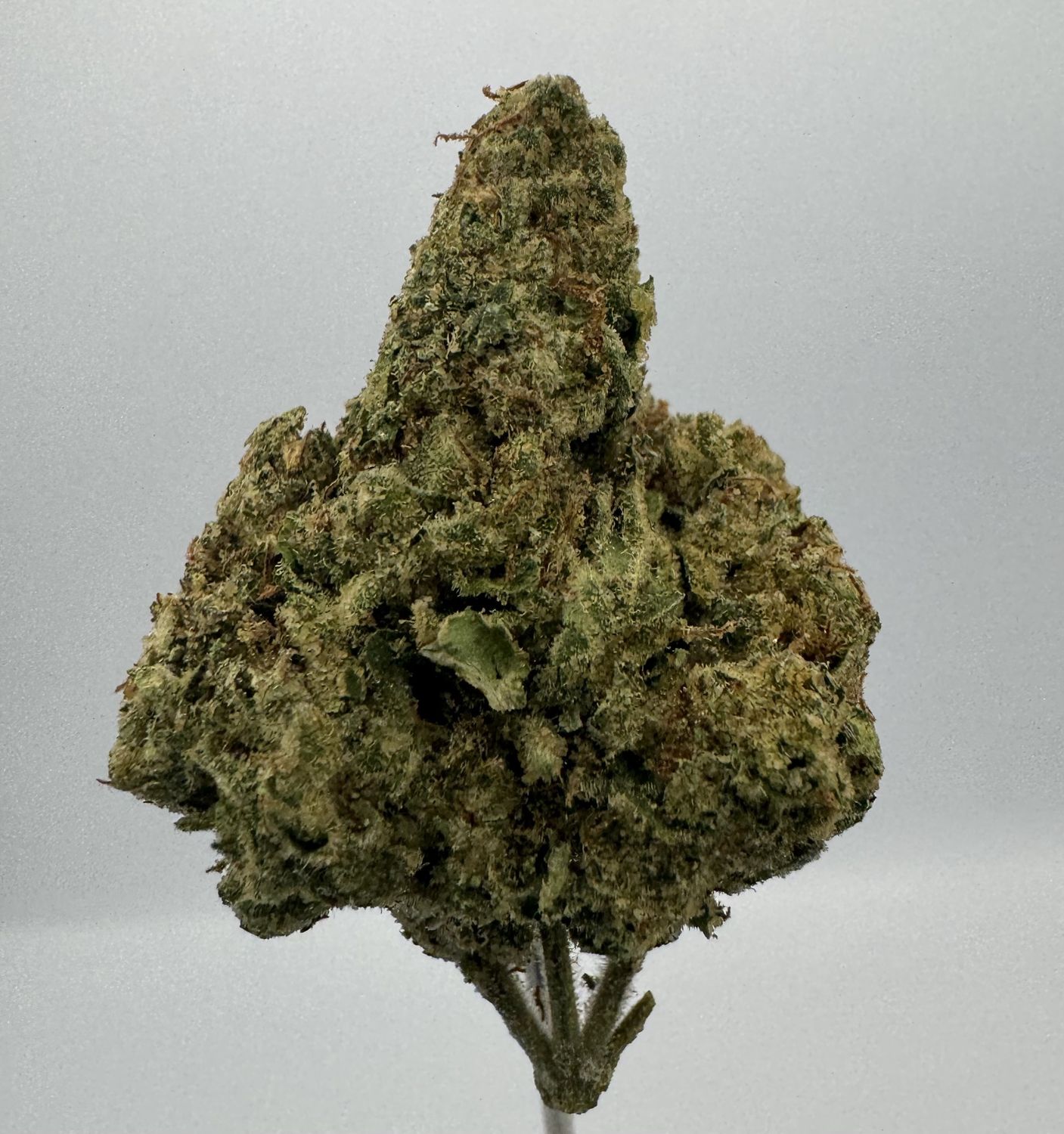 Sundae Driver Hemp Flower