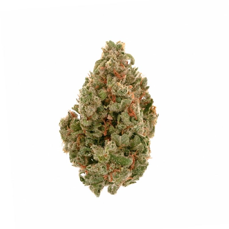 Jack Herer Premium Flower