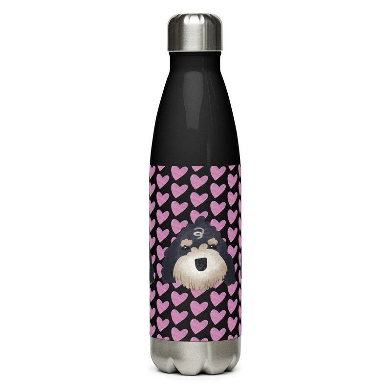 Milo stainless steel water bottle