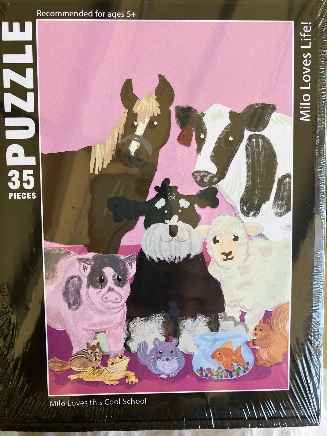3 Puzzles &  3 Books