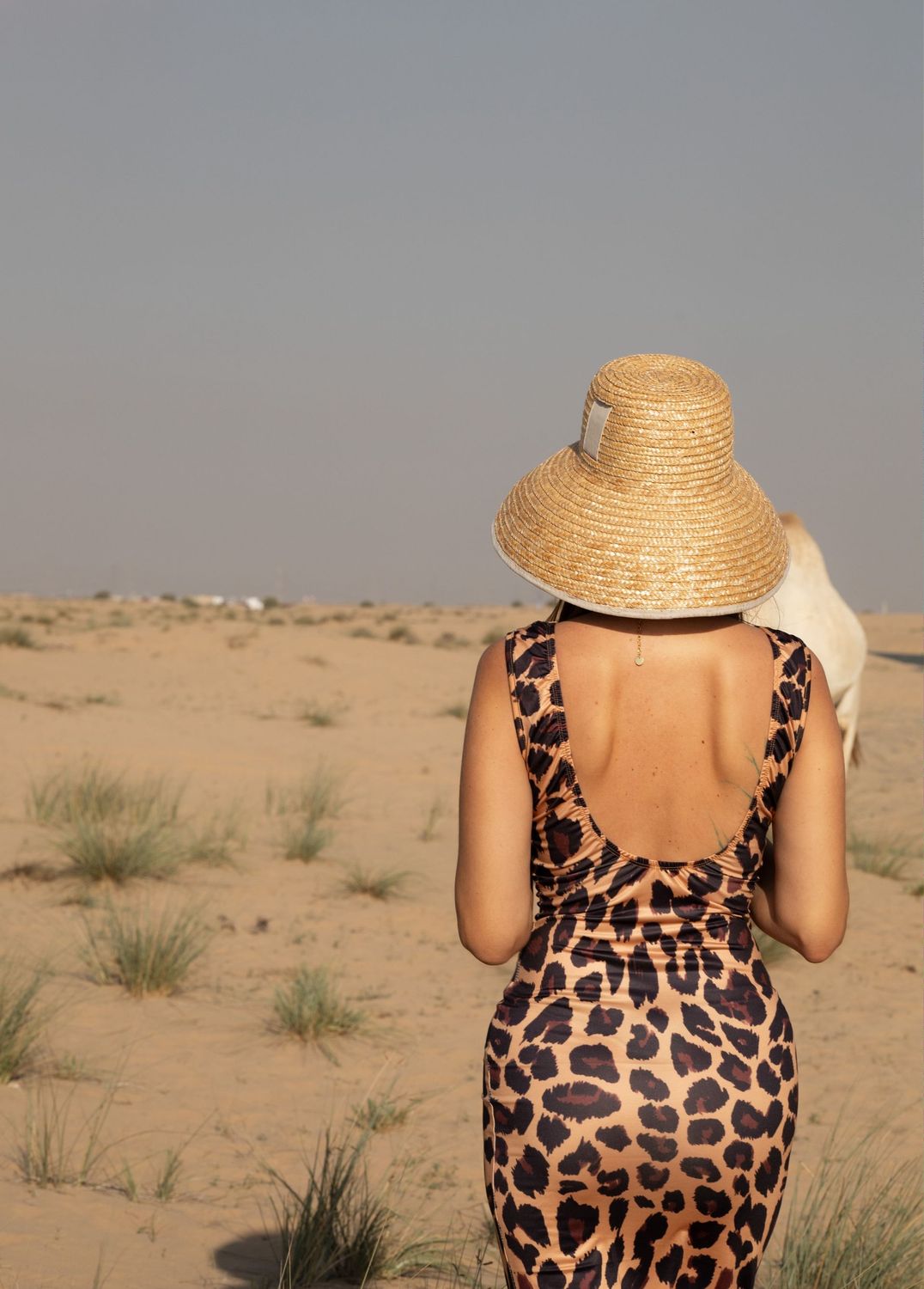 Wildly Chic