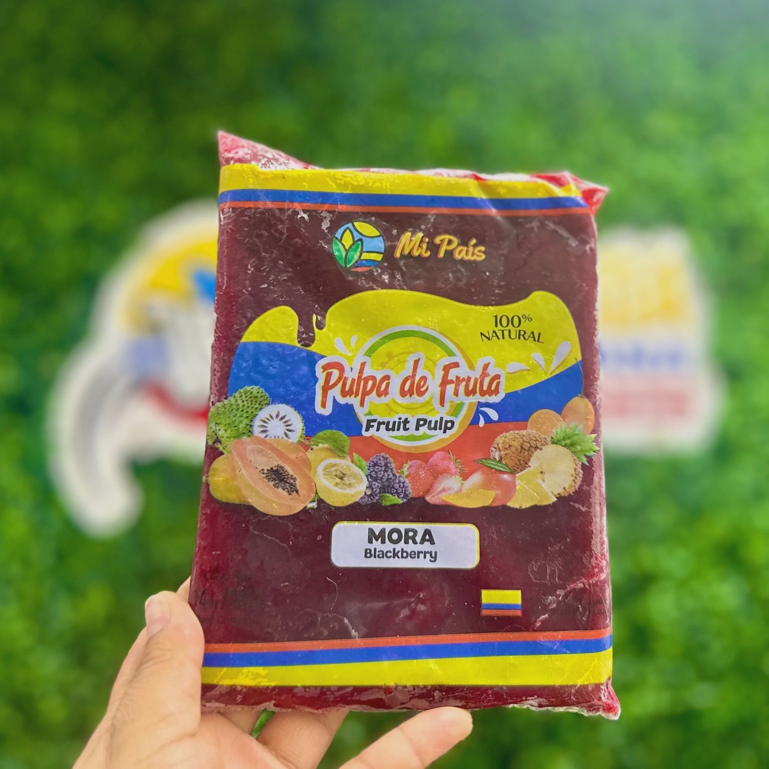 Mi Pais Pulpa De Fruta Mora