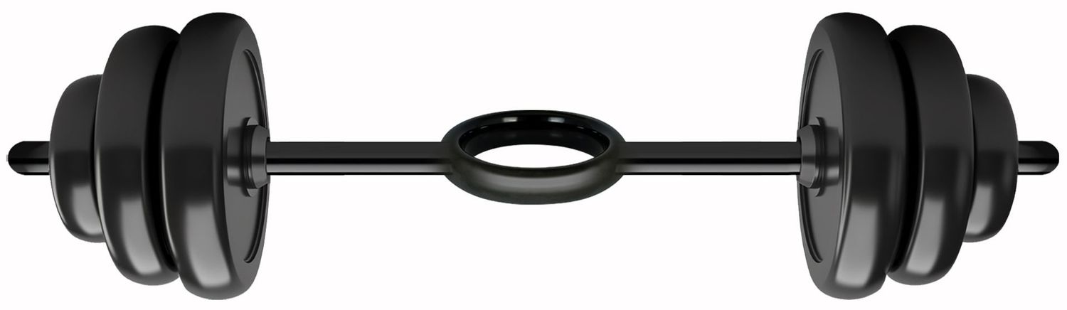 Rock Out Ringer Mini Barbell