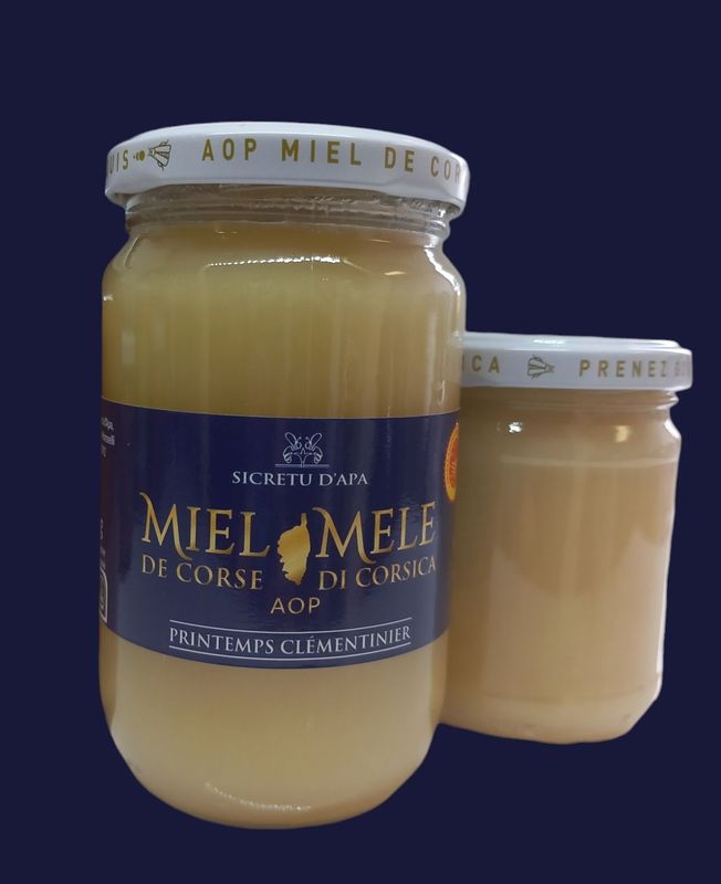 Miel de printemps (clémentinier) MEDAILLE D'OR CGA2025