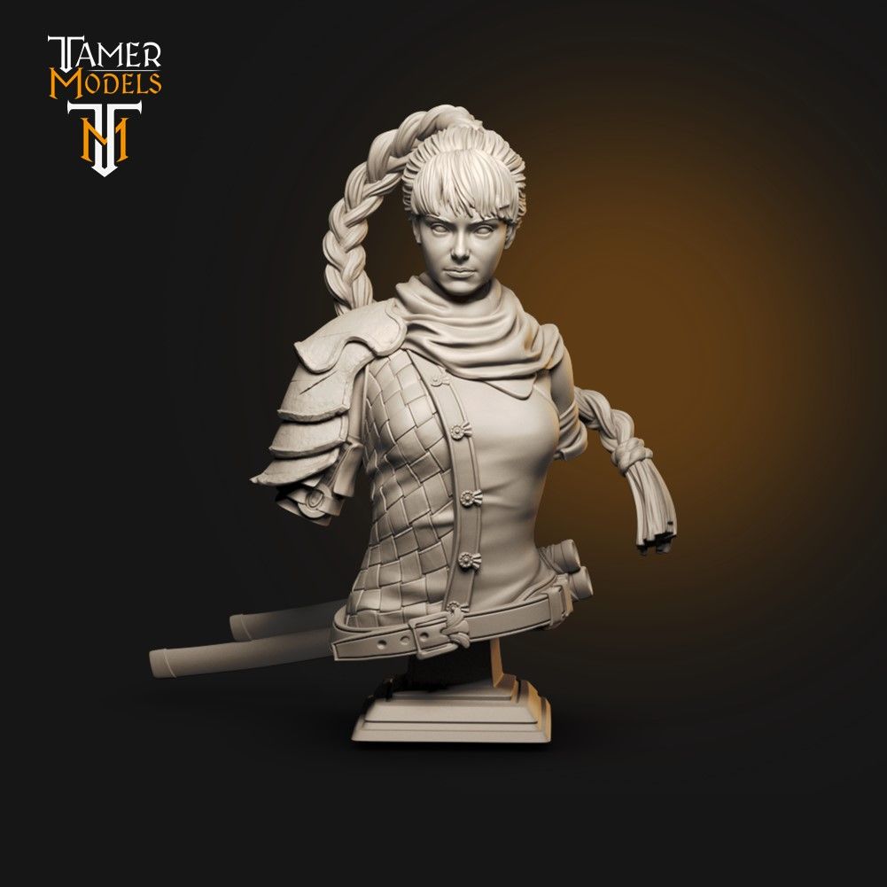 Assassin Bust