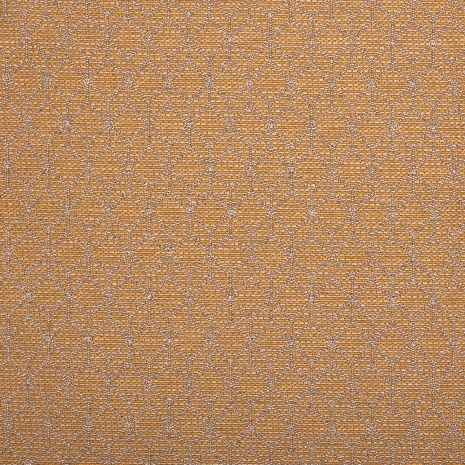 Lucia 1, Colour: Dandelion