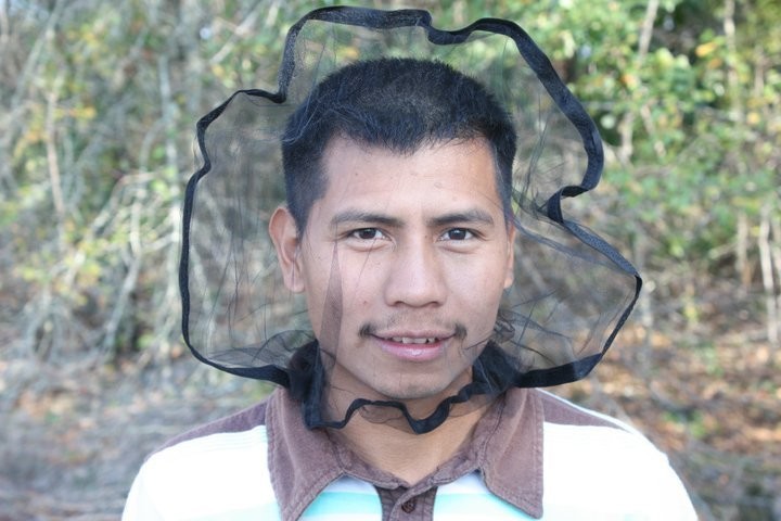 GNAT NET