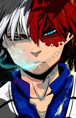 Shoto Todoroki