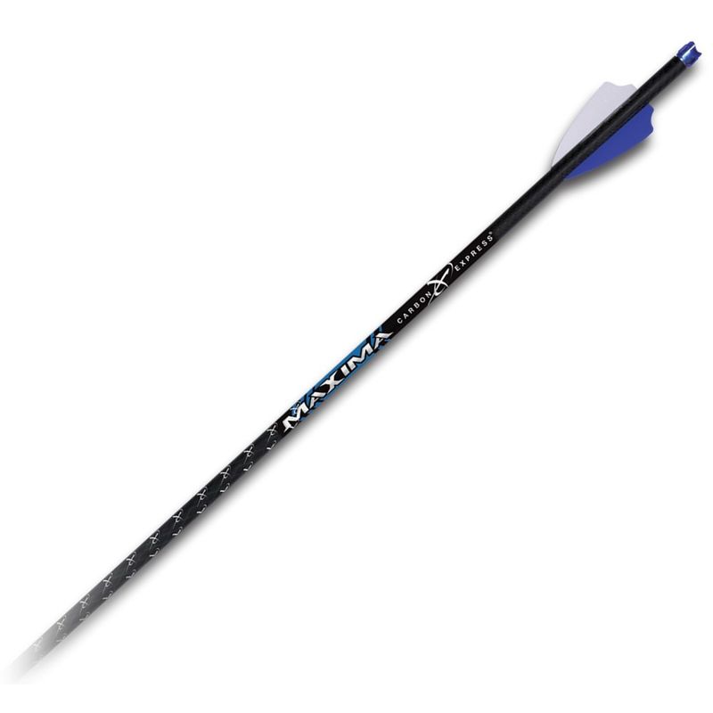 Ammunool Carbon Express Maxima Blue Streak