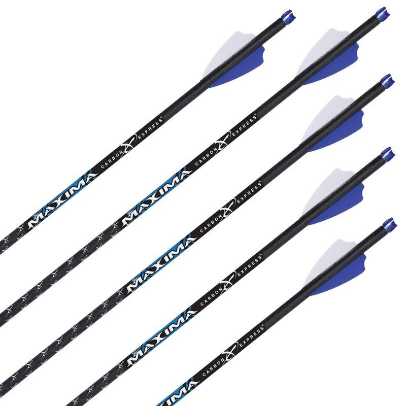 Ammunool Carbon Express Maxima Blue Streak