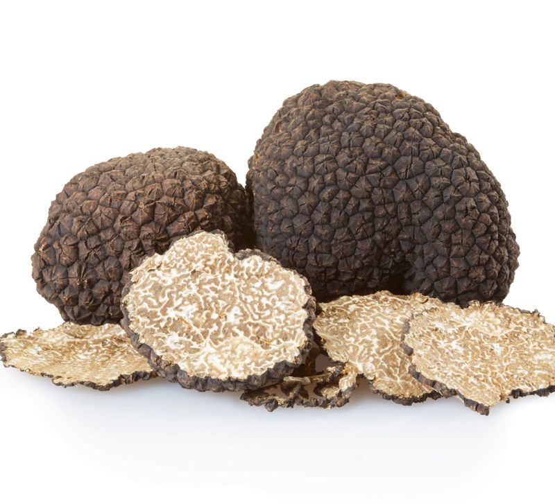 ​Schwarzwild Truffle Attractant, 500 ml