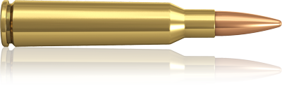 Padrun Norma 6,5x55. R&amp;T FMJ. 8,0 g