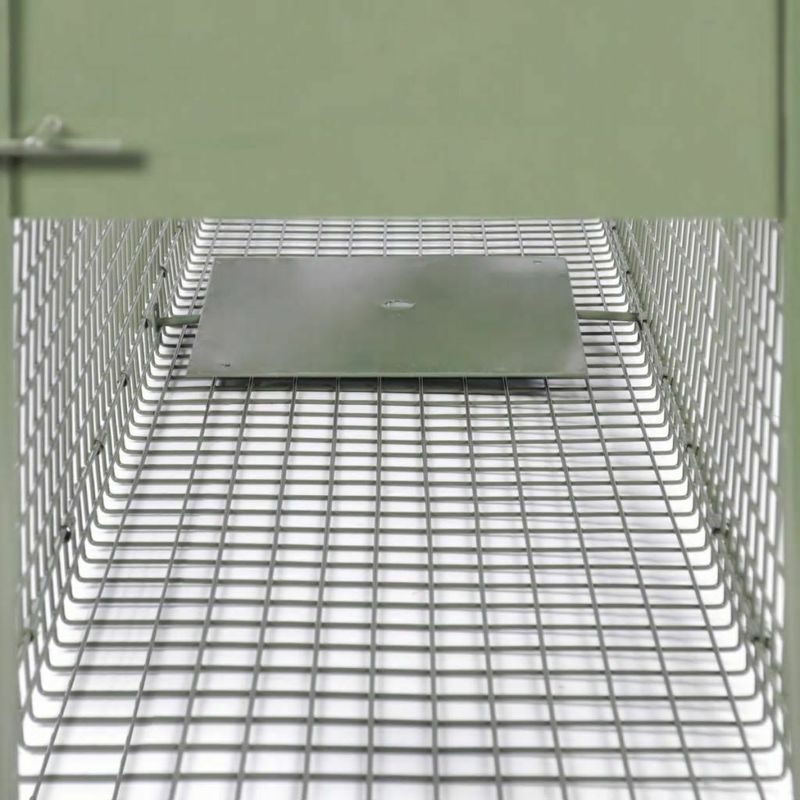 Live capture trap for animals 60x15x15 cm