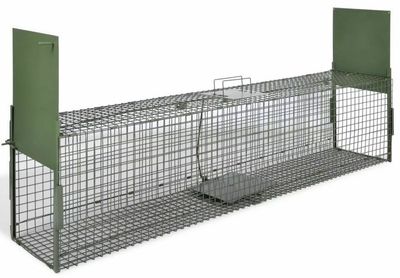 Live capture cage trap 100x28x28 cm