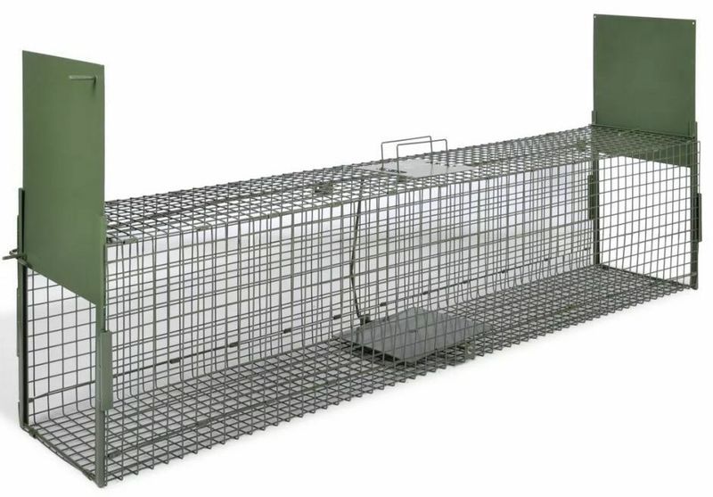 Live capture cage trap 100x28x28 cm