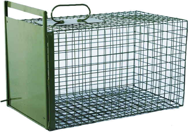 Transpordipuur loomadele 50x29x29 cm.