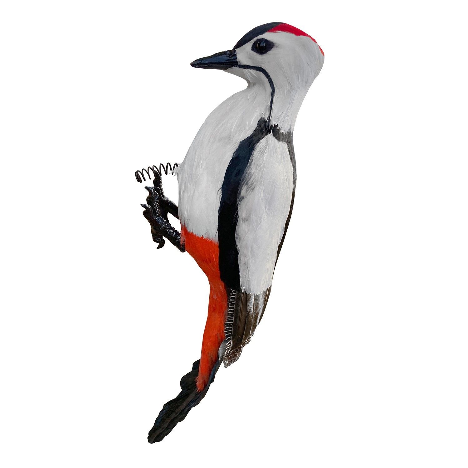 ​Feathered woodpecker figurine for repelling woodpeckers from your house