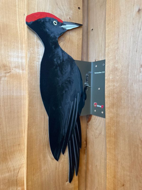 Black woodpecker decoy