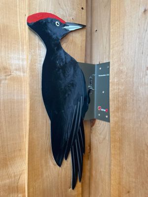Black woodpecker decoy