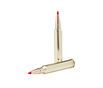 AMMUNITION