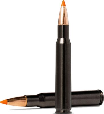 Padrun Norma .30-06 Silencer Tipstrike 11,0 g
