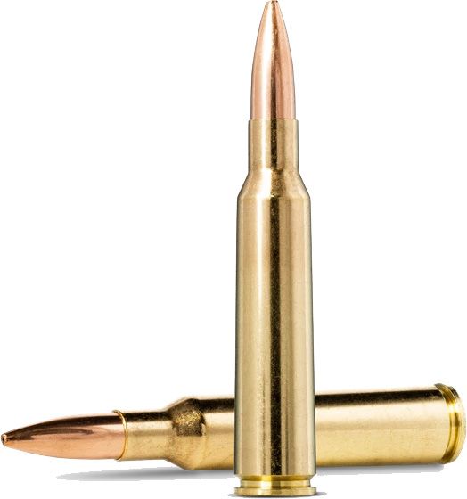 Padrun NORMA .22-250 REM. FMJ. 3,6 g.