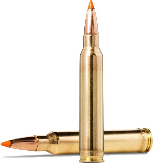 Padrun Norma .300 Win.Mag.  Tipstrike 11,0 g