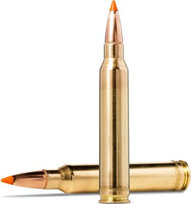 Padrun Norma .300 Win.Mag.  Tipstrike 11,0 g