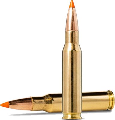 Padrun Norma .308 WIN. Tipstrike 11,0 g