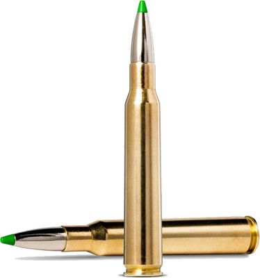 Padrun Norma .30-06 Ecostrike 10,7 g