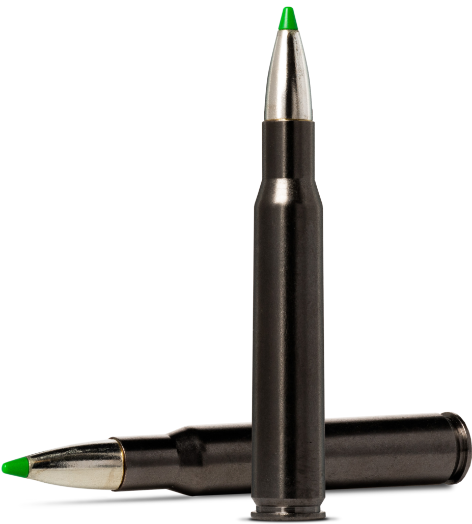 Padrun Norma .30-06 Ecostrike Silencer 9,7 g