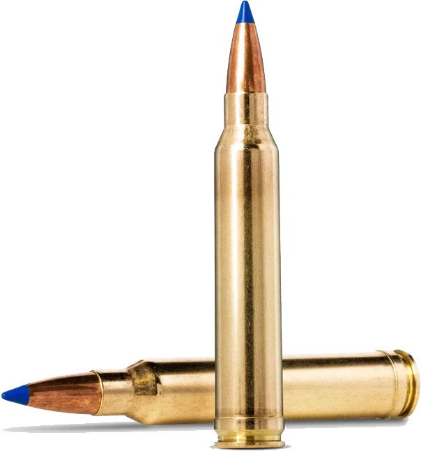 Padrun Norma .300 Win.Mag.  Bondstrike. 11,7 g.