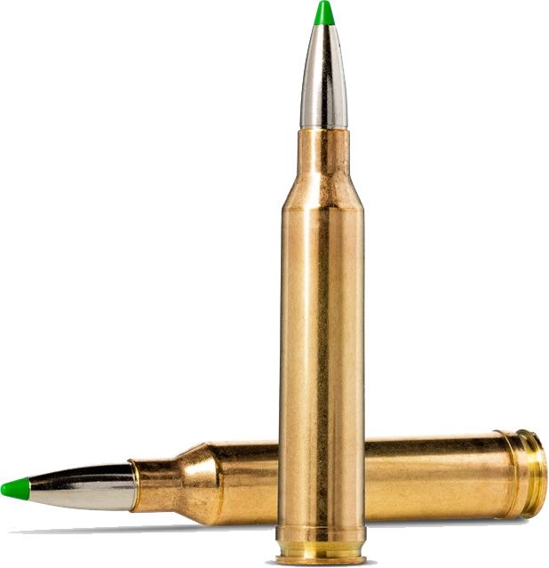 Norma 7mm Remington Magnum Ecostrike 9.1g / 140 gr