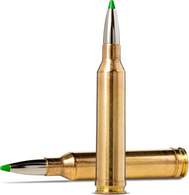 Norma 7mm Remington Magnum Ecostrike 9.1g / 140 gr