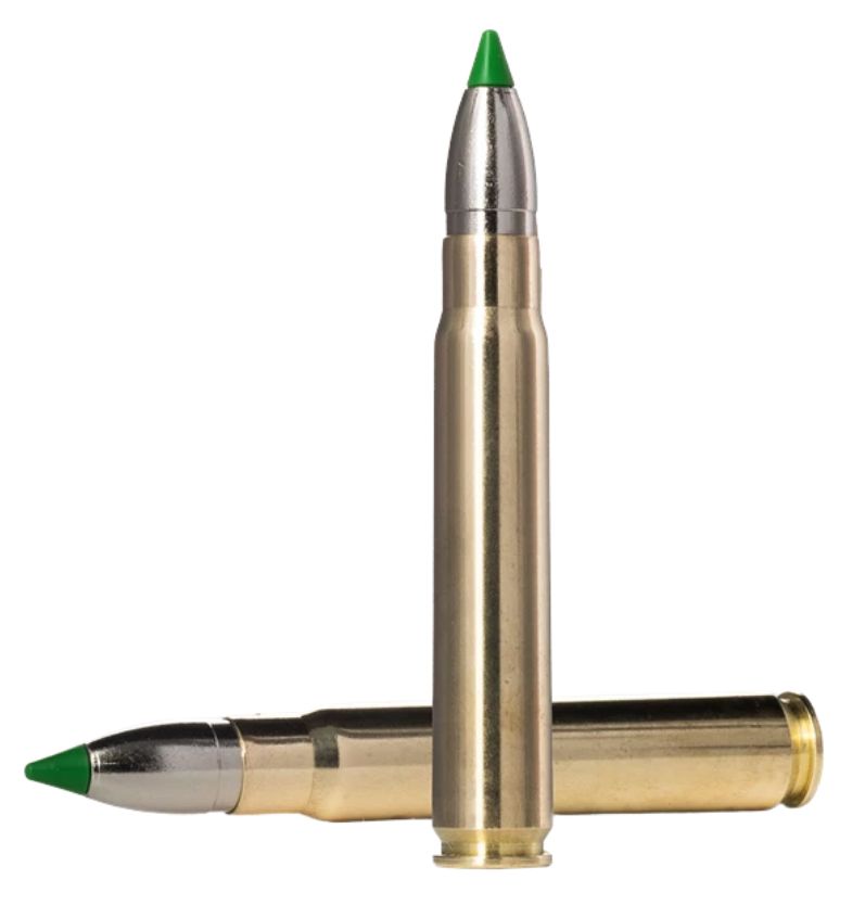 Norma ECOSTRIKE 9.3x62. 250 gr