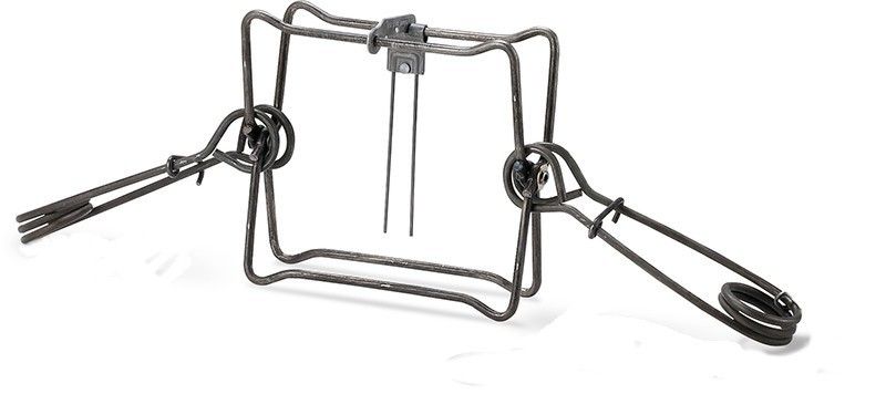 Conibear marten trap