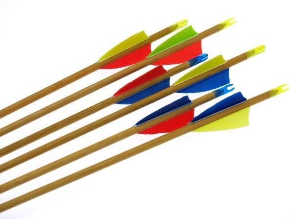 Vibunool lastevibule Falco Robin Vibunool lastevibule Falco Robin