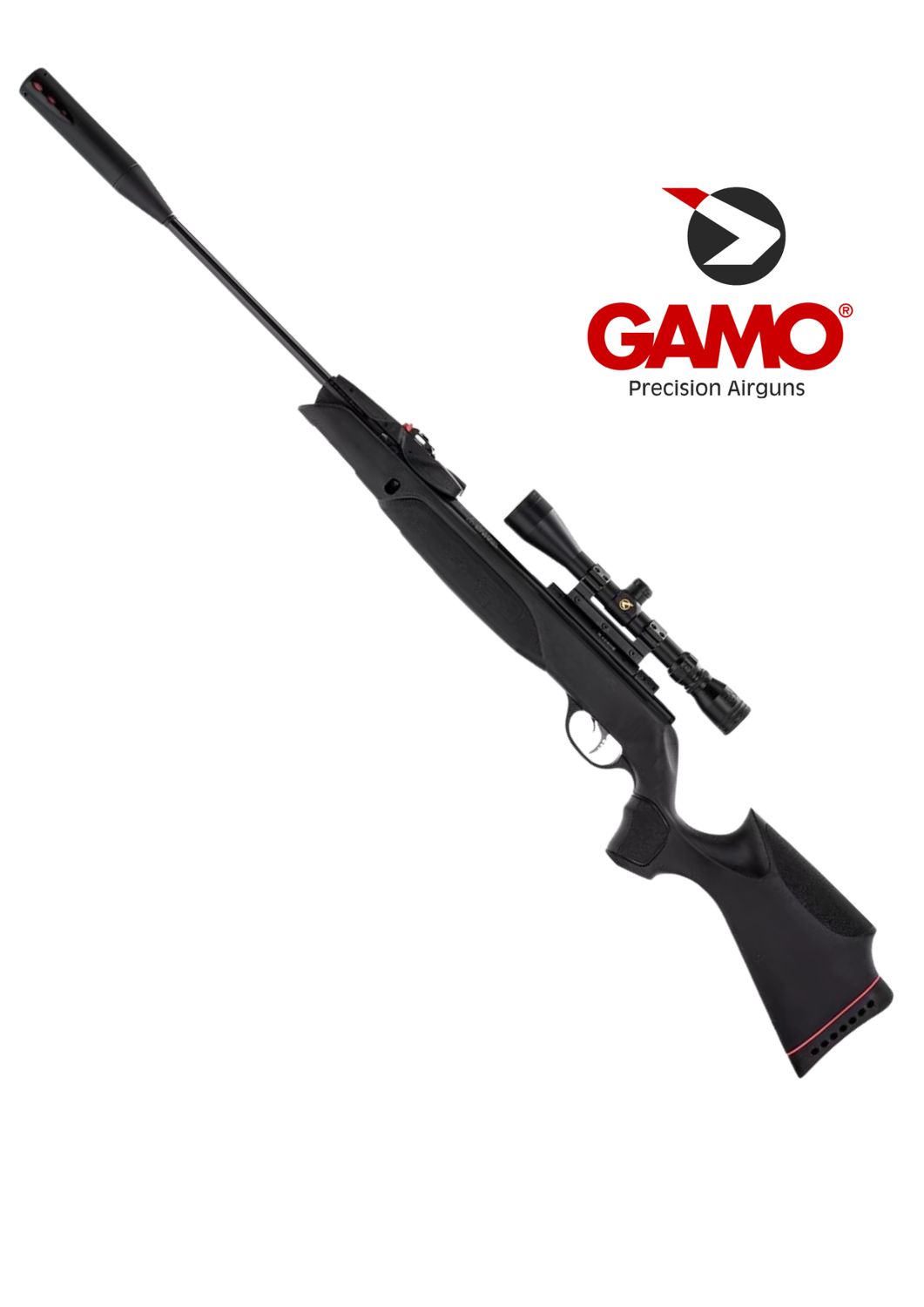 Air Rifle Gamo SWARM MAGNUM PRO IGT GEN3i x10