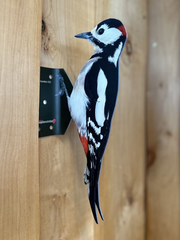 Woodpecker shape for deterring woodpeckers