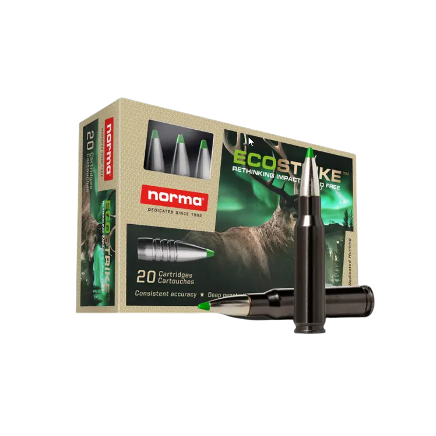 Norma Ecostrike Silencer .308 Win 150 g