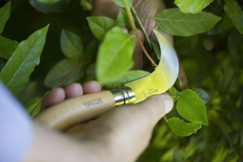 Opinel No.8 pruning knife