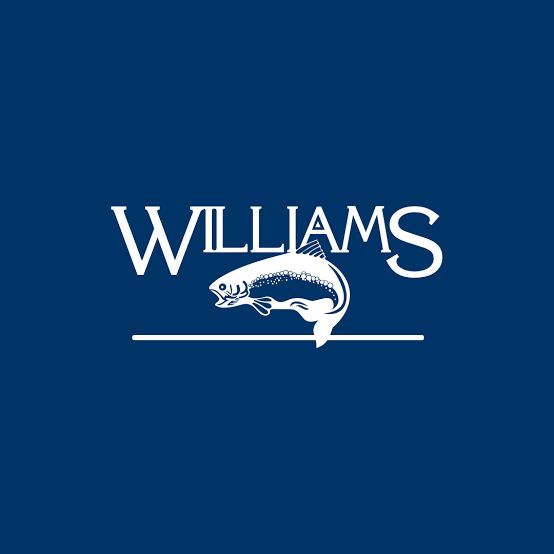 ​Williams Wabbler 28 g / 10 cm