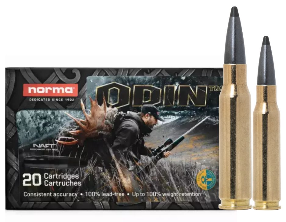 Norma .30-06 Spr. ODIN. 10,5 (162 gr)