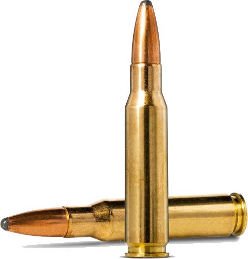Norma ORYX .30-06 Springfield 10.7 g 165 gr bonded soft-point hunting ammunition for big game