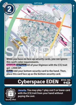 BT22-100 Cyberspace EDEN, Common