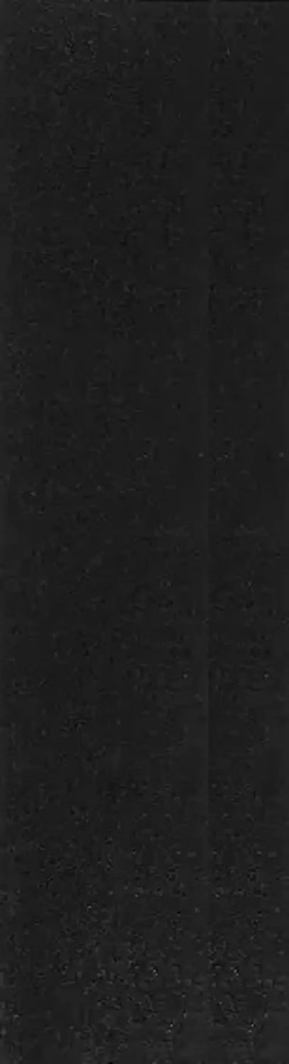 Jessup Stuntstep Griptape