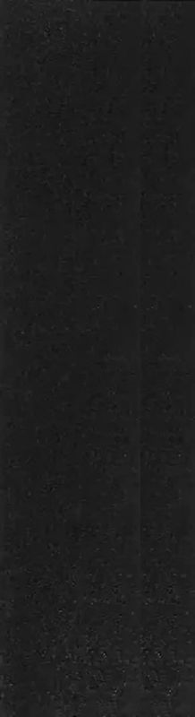 Jessup Stuntstep Griptape