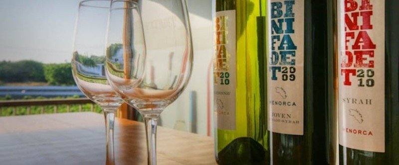 Cata de vino en Bodegas Binifadet