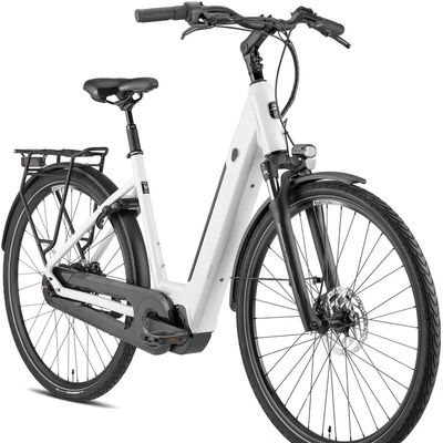 Besv CT 2.2 LS elektrische fiets Shimano Enviolo - 1333km