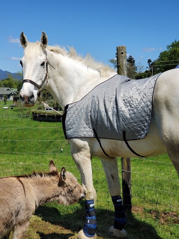 HyperKewl™ Evaporative Cooling Horse Blanket HyperKewl™ Evaporative Cooling Horse Blanket